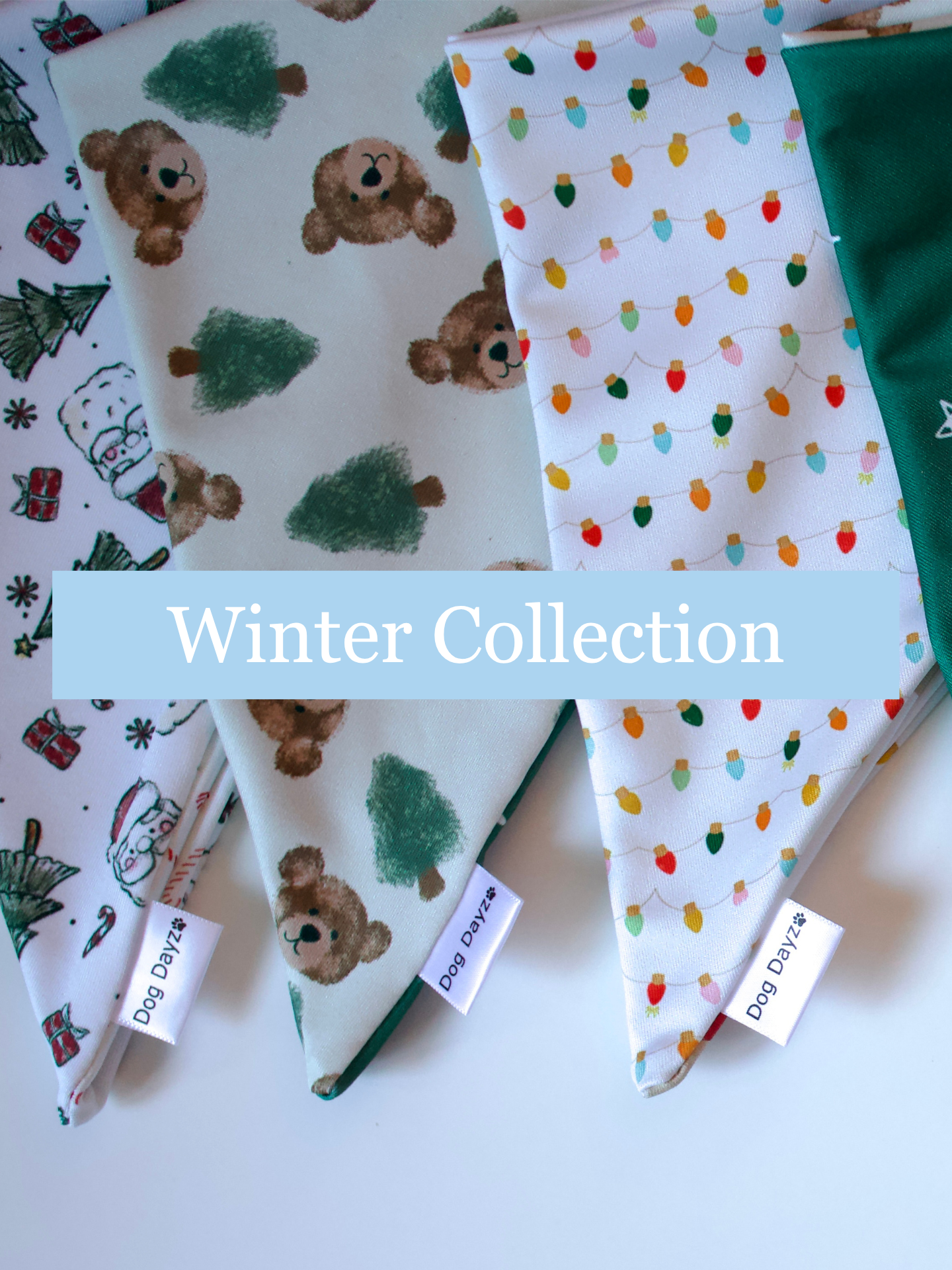 Winter Collection