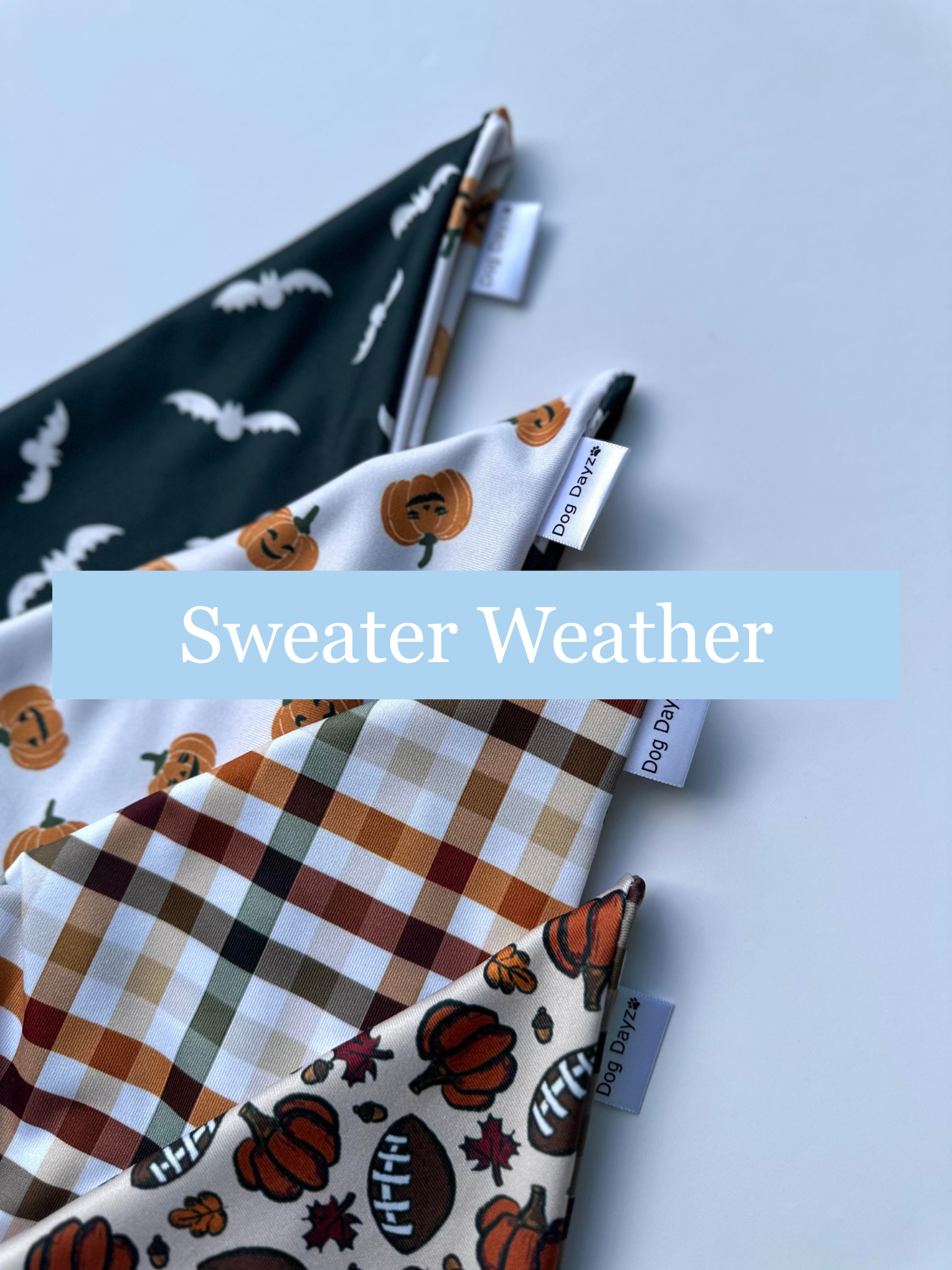 Sweater Weather